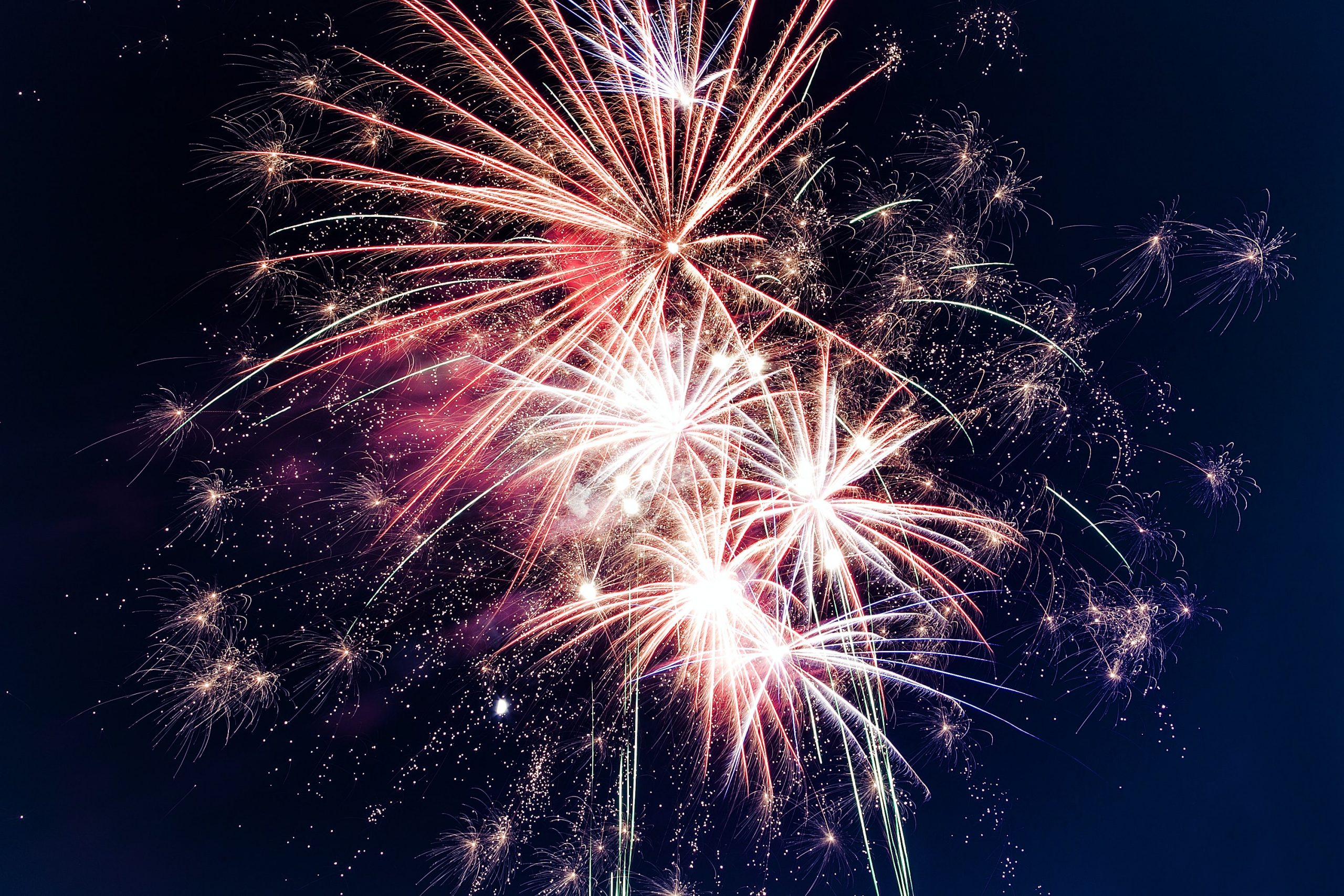 Firework Night